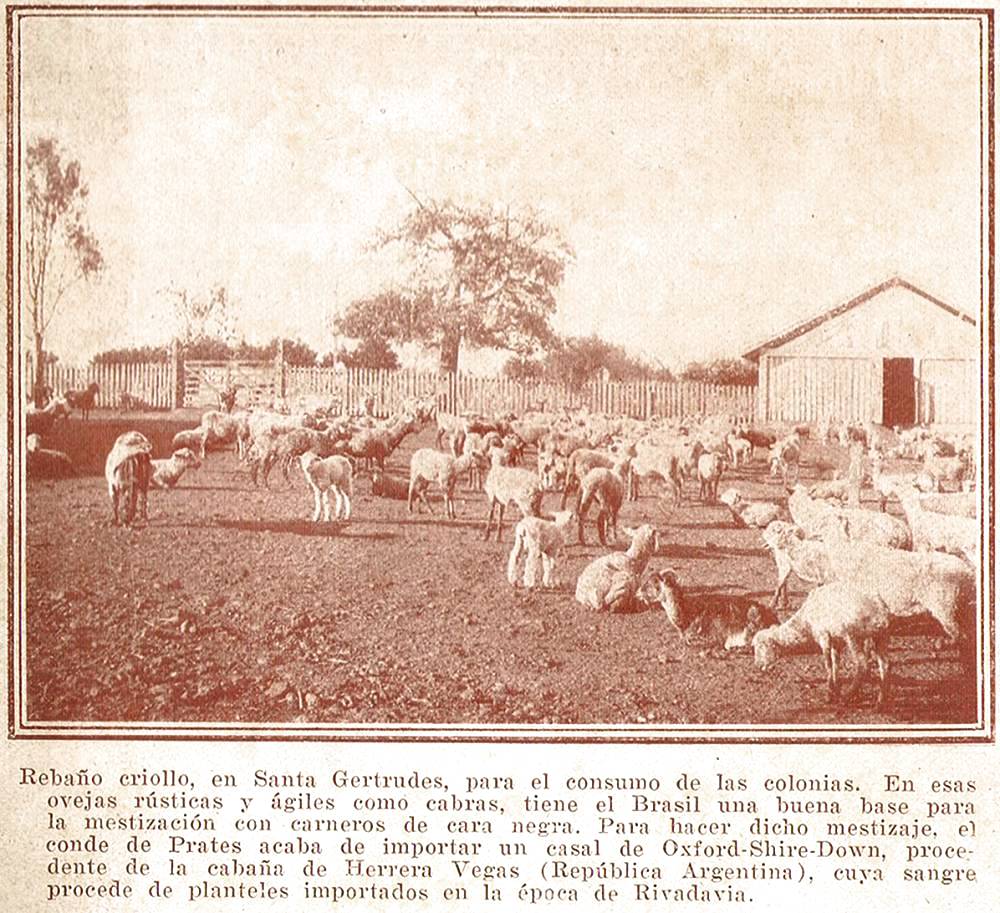 Clique aqui para reduzir a imagem