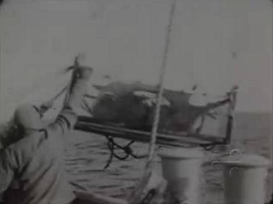 Clique na imagem para obter o arquivo de vídeo em formato MP4