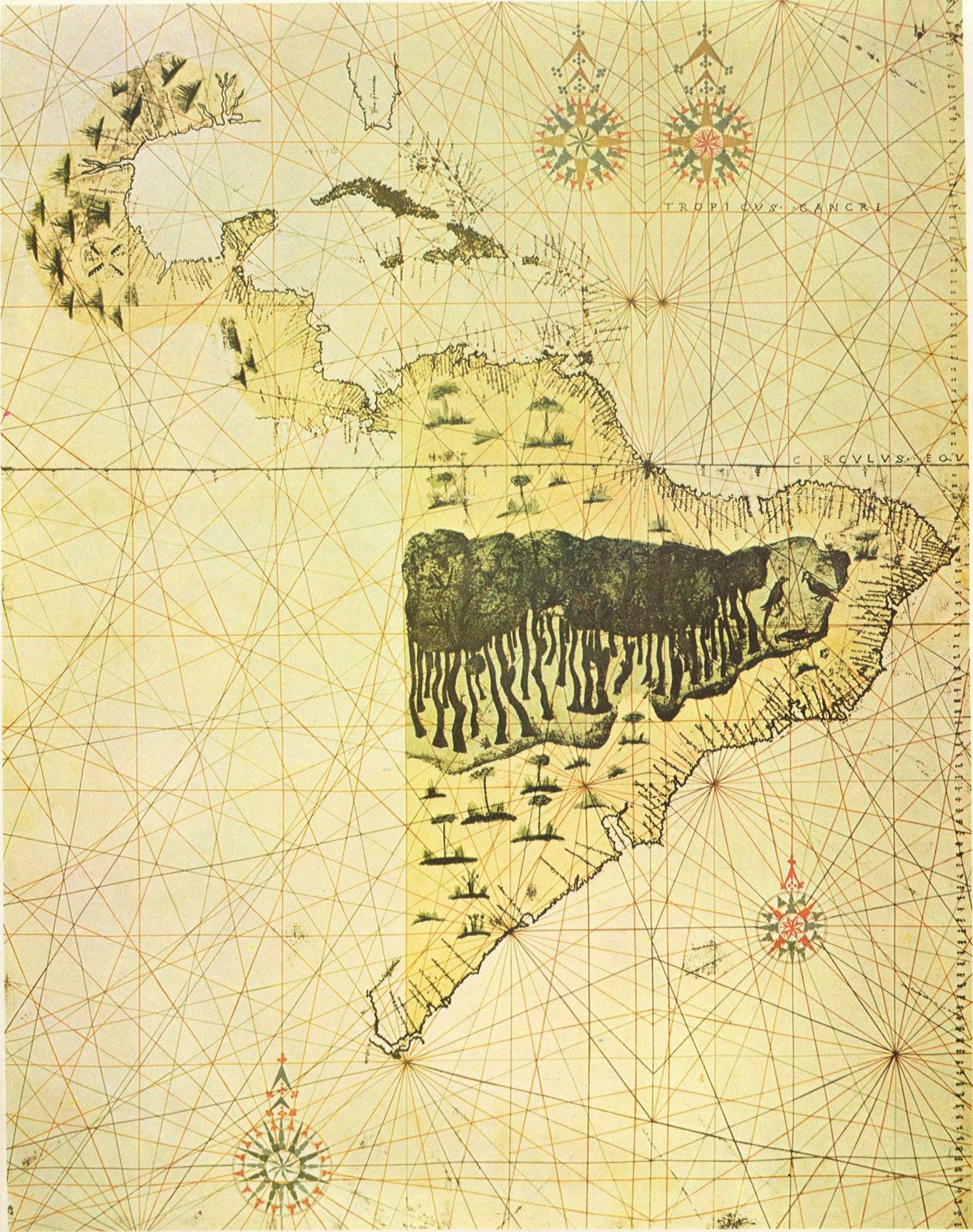 Clique na imagem para reduzi-la