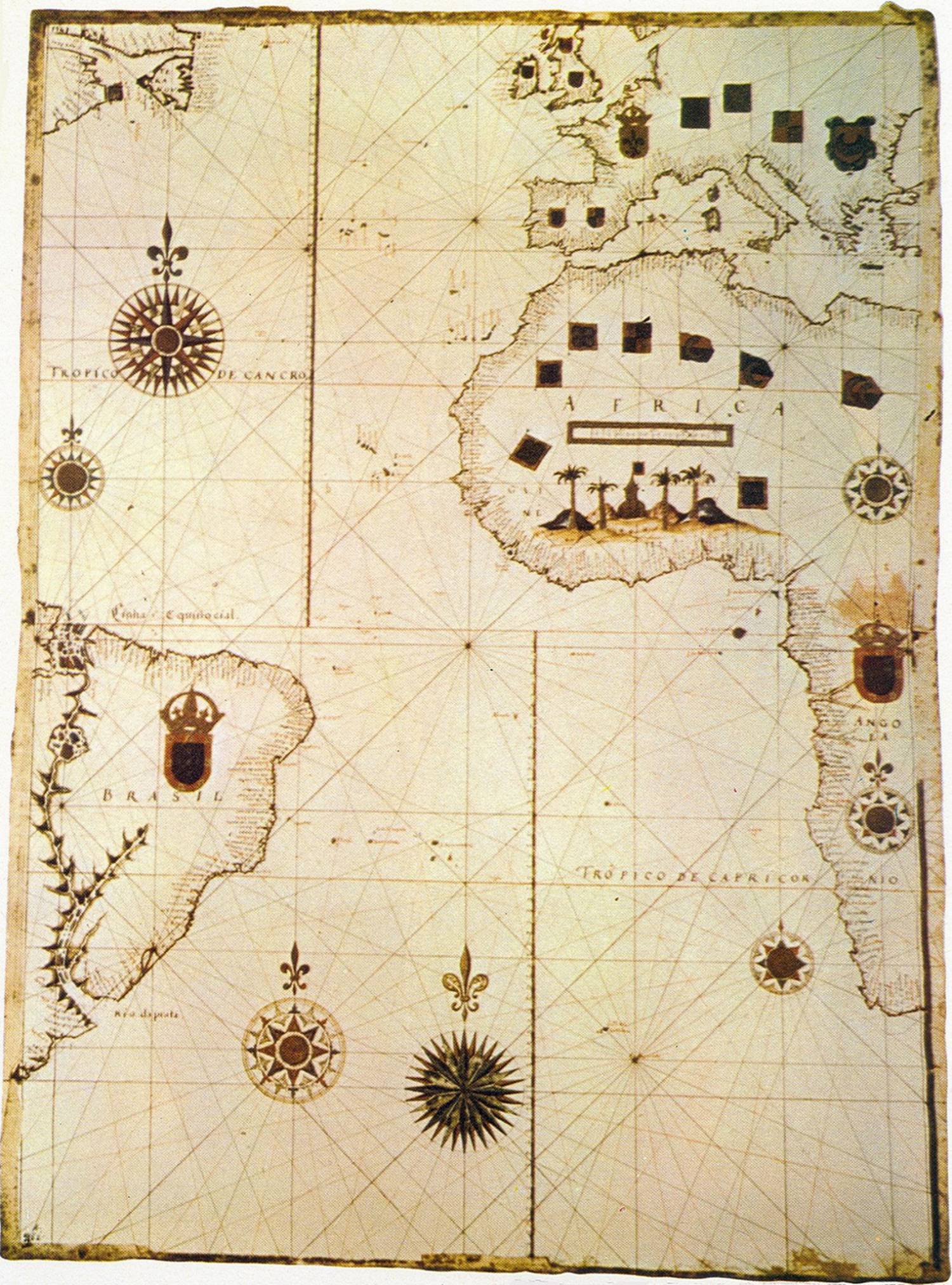 Clique na imagem para reduzi-la