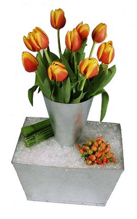 Arranjo com tulipas