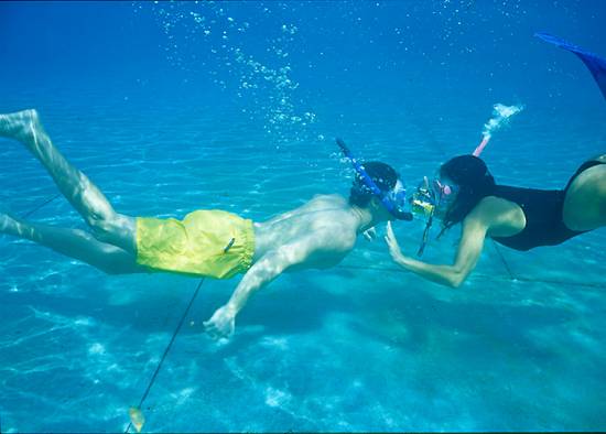 Foto submarina obtida com a nova c�mera, que pode ser levada a at� 30 metros de profundidade