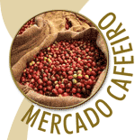 Portal Terra lan�ou em novembro um site com informa��es sobre o mercado cafeeiro