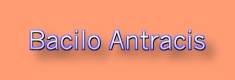 Logo da p�gina portuguesa sobre o antraz