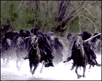 Cena de 'O Senhor dos An�is'