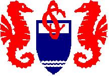 Logo do Santa Ceclia