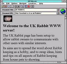 Um endereo para quem gosta de coelhos na Inglaterra