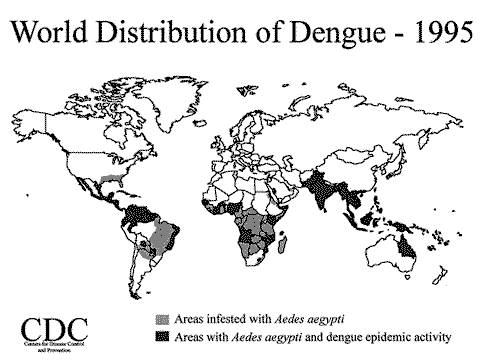 Imagem divulgada pelo CDC norte-americano