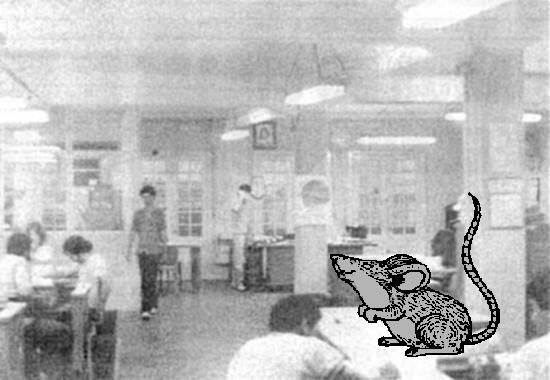 Arte sobre foto do Arquivo CS
