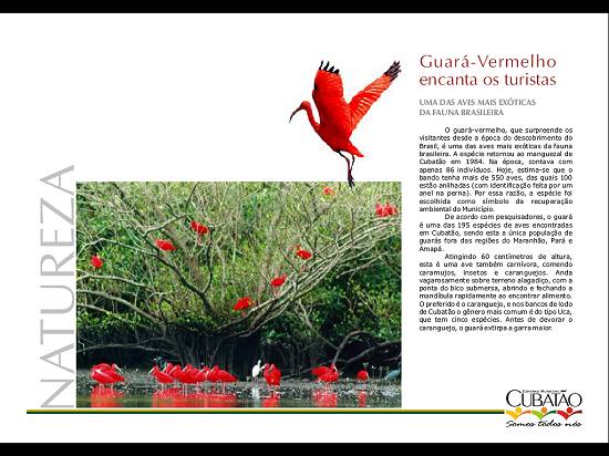 Clique na imagem para obter o arquivo em formato PDF