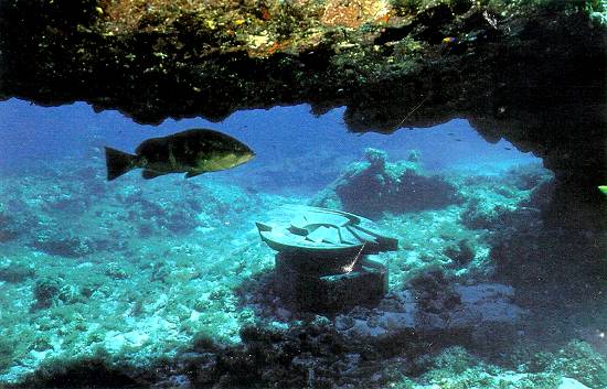 Marco submarino assinala o local da primeira ancoragem na Am�rica (foto: revista 'Hola!' especial, Madrid, 1992)