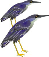 Clique na imagem para voltar ao quadro de aves