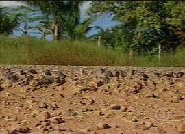 Um grande buraco na honestidade do governo (Imagem: Rede Globo de Televis�o, no Jornal Nacional de 4/12/2001)