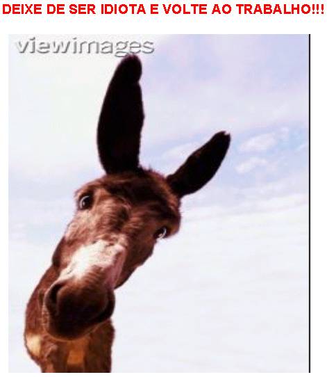 Clique na imagem para voltar!