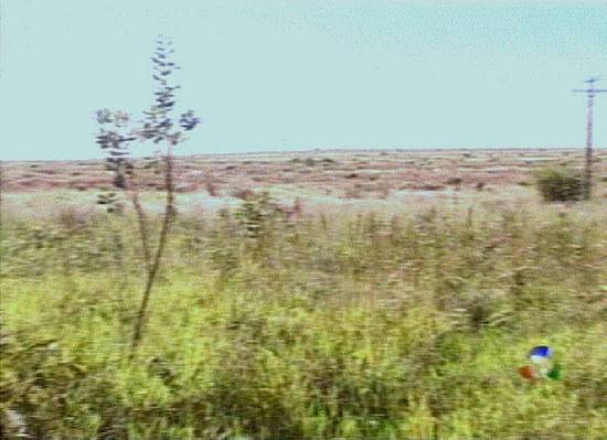 Cad as famlias assentadas aqui, em Planaltina/DF? (Imagem: captura de tela da TV Record, 25/4/2002, 19h42)