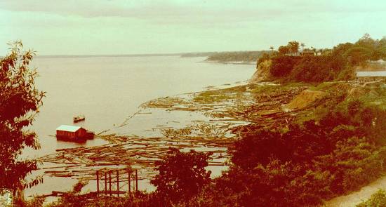 Imagem de 16/1/1982 mostra a atividade madeireira no rio Negro