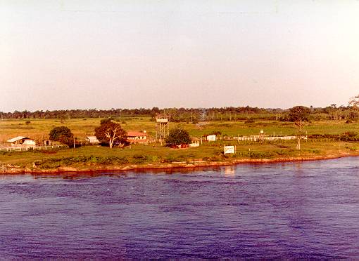 Fazenda Tamoat�, na ilha do Marimarituba, entre Santar�m e �bidos