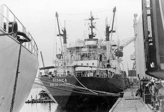 O navio Bianca, durante atraca��o no porto de Santos (foto: divulga��o)