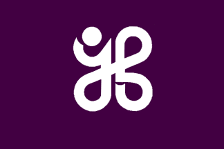 Ilha Niijima/Niijima Island Flag