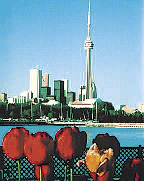 Torres de comunica��es, como em algumas cidades canadenses, mostram a tend�ncia, que j� existe h� anos de forma incipiente