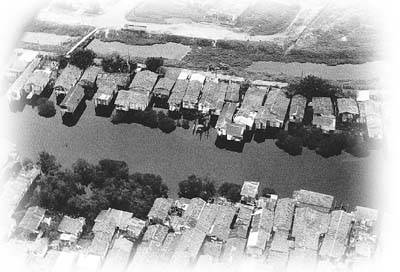 Hoje, �reas de mangue s�o ocupadas por barracos, que continuam a proliferar sem qualquer infra-estrutura