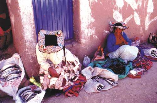 Imagens da viagem foram reunidas num livro com 140 p�ginas e 222 fotos