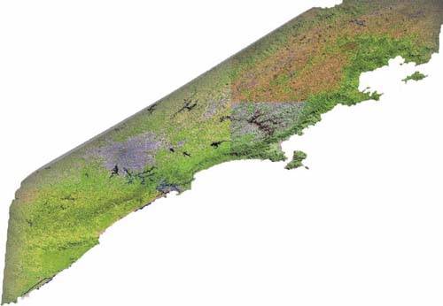 Imagem de sat�lite do litoral paulista, que ser� afetado pela regulametna��o do gerenciamento costeiro. Imagem: divulga��o SMA