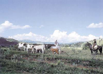 A tranq�ilidade do ambiente no campo tamb�m � valorizada pelos turistas