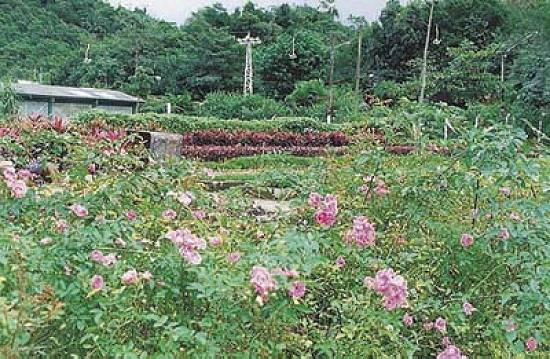 Parque Cotia-Par�: turismo ecol�gico (Foto: Aderbau Gama)