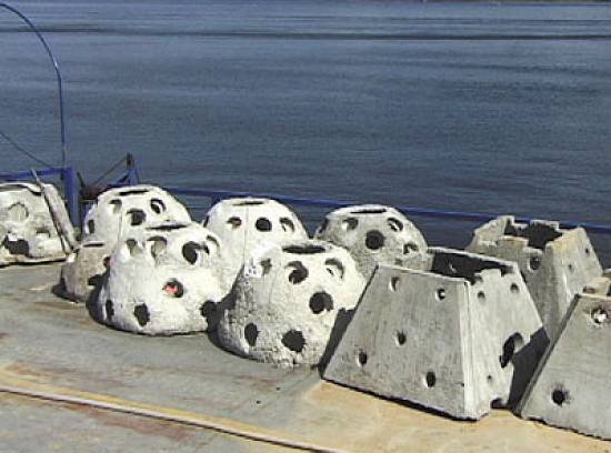 Recifes feitos com cimento especial estimulam a reproduo pesqueira no litoral paranaense