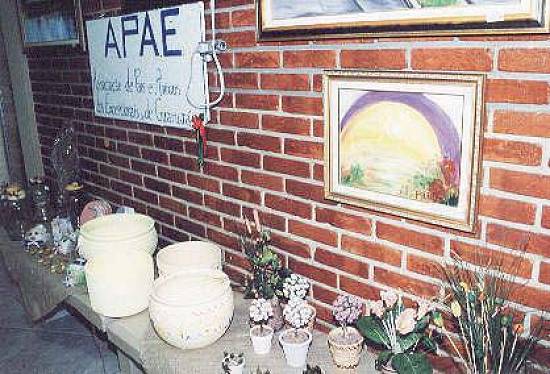 Ciclo destaca entidades assistenciais (Foto: Soraya Liguori/C�mara Municipal de Guaruj�)