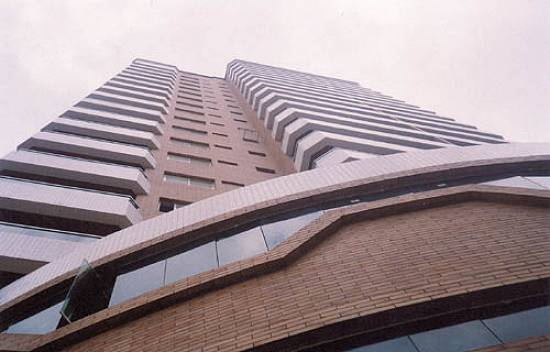 Projeto arquitet�nico real�ou as formas curvas na fachada (Foto: Sandra Netto)