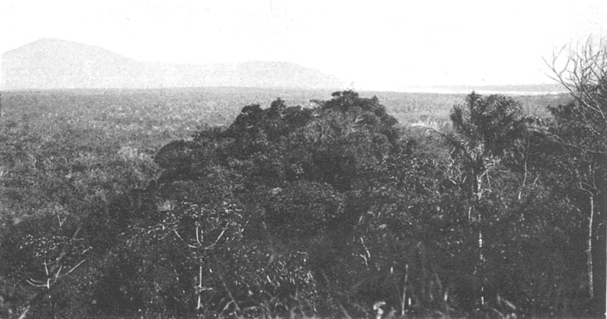 Clique na imagem para reduzi-la