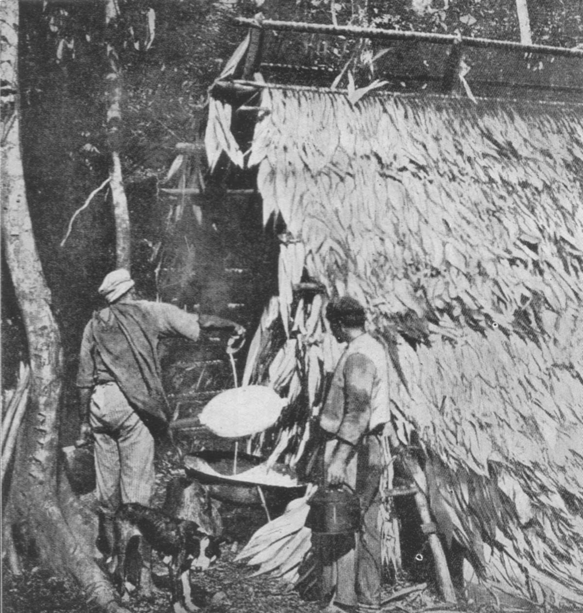 Clique na imagem para reduzi-la