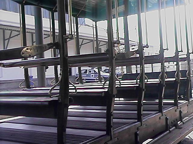 Clique na imagem para reduzi-la