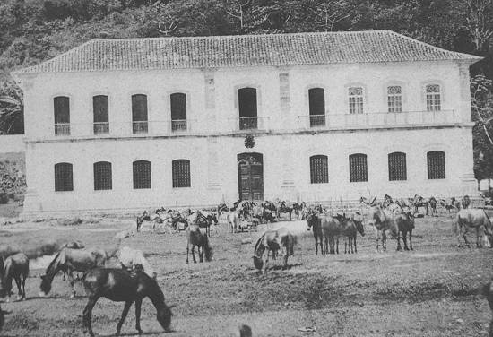 Novo Milenio Santos Fotos Antigas
